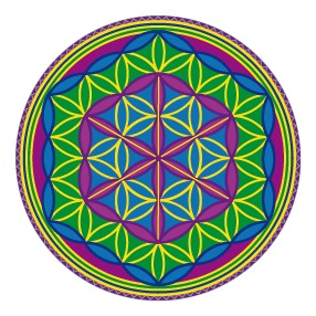 Runenblume (VPE: 12 Stück)