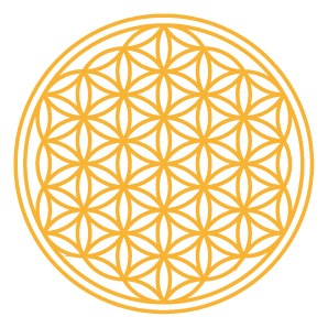 Goldblume 75 mm (VE 12 Stück)