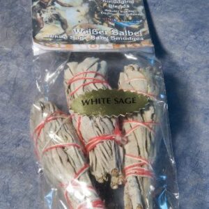 Weißer Salbei 3 Baby Smudges